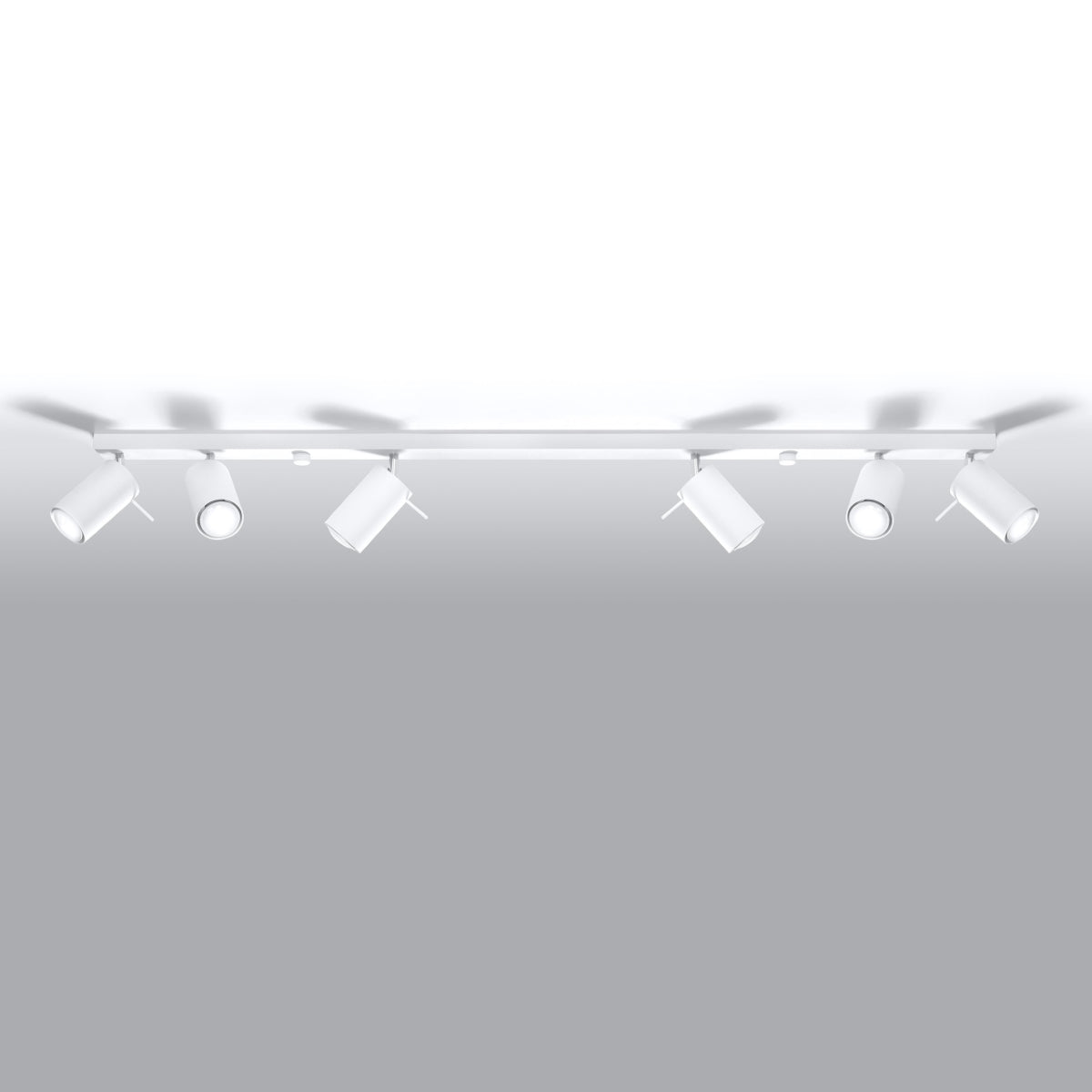 RING 6L Deckenleuchte