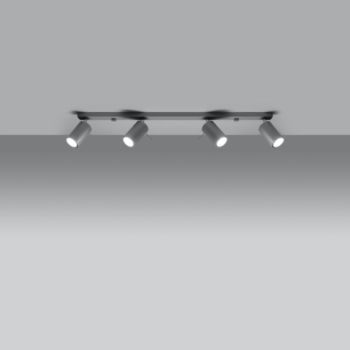 RING 4L Deckenleuchte