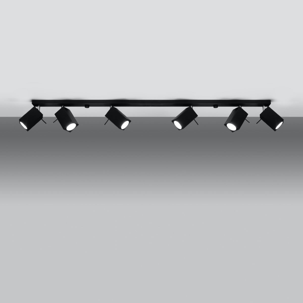 MERIDA 6L Deckenleuchte