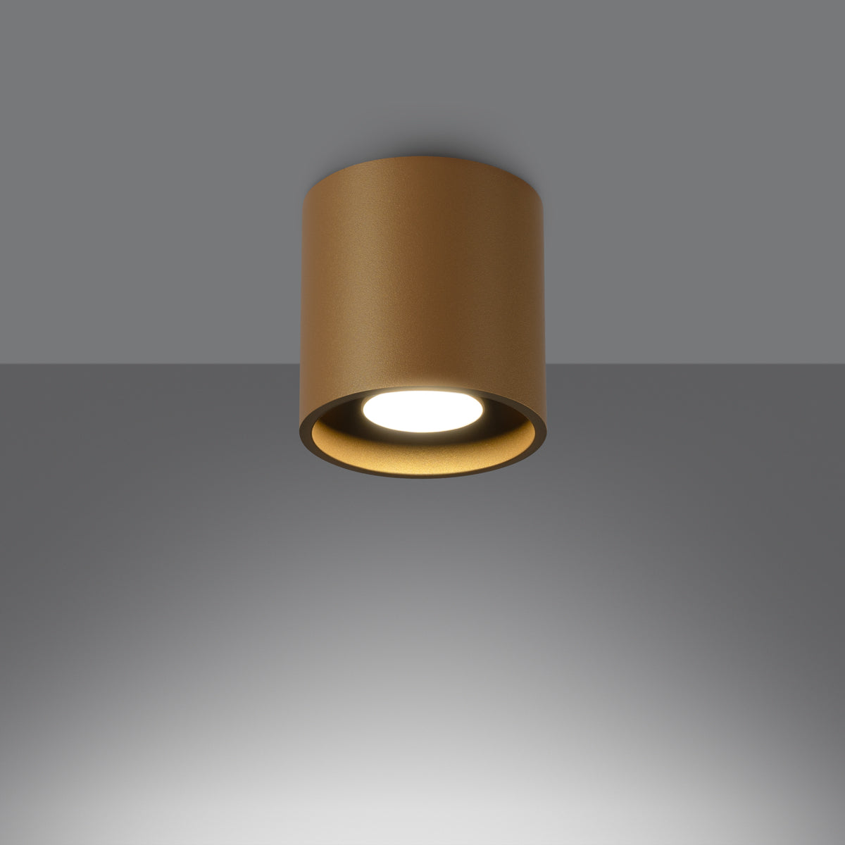 Aluminium-Deckenspot ORBIS 1 – Minimalistischer Zylinder