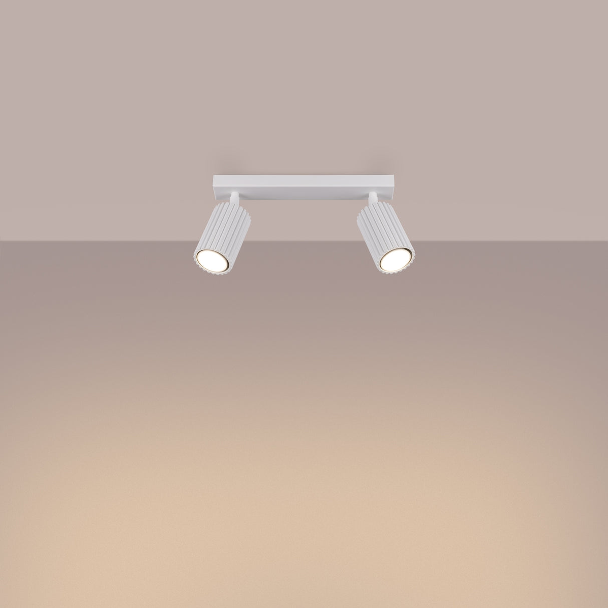 Design Deckenleuchte KARBON 2 – 2-flammig & Schwenkbar