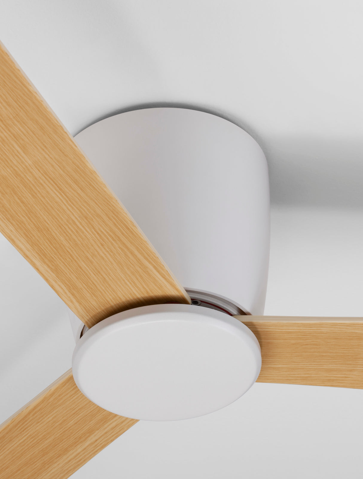 DELL Deckenventilator Ø 121,9 cm-Luxomo Leuchten