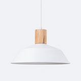 FANO Pendelleuchte