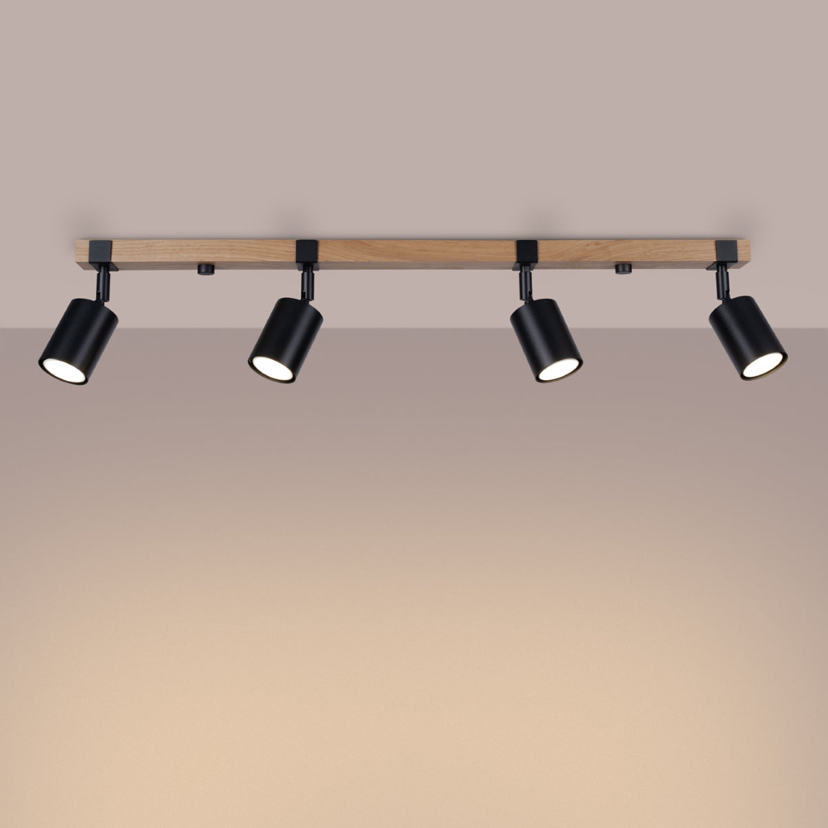 FAGER 4L Plafond