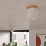 RIF Plafond