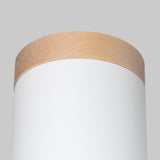 RIF Plafond