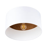 TELESTO Plafond
