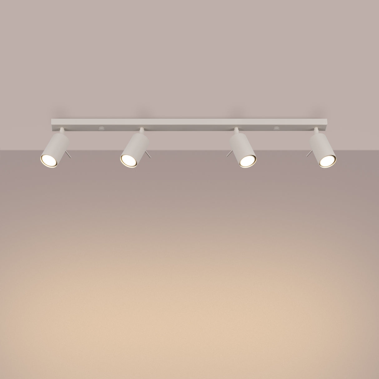 RING 4L Plafond