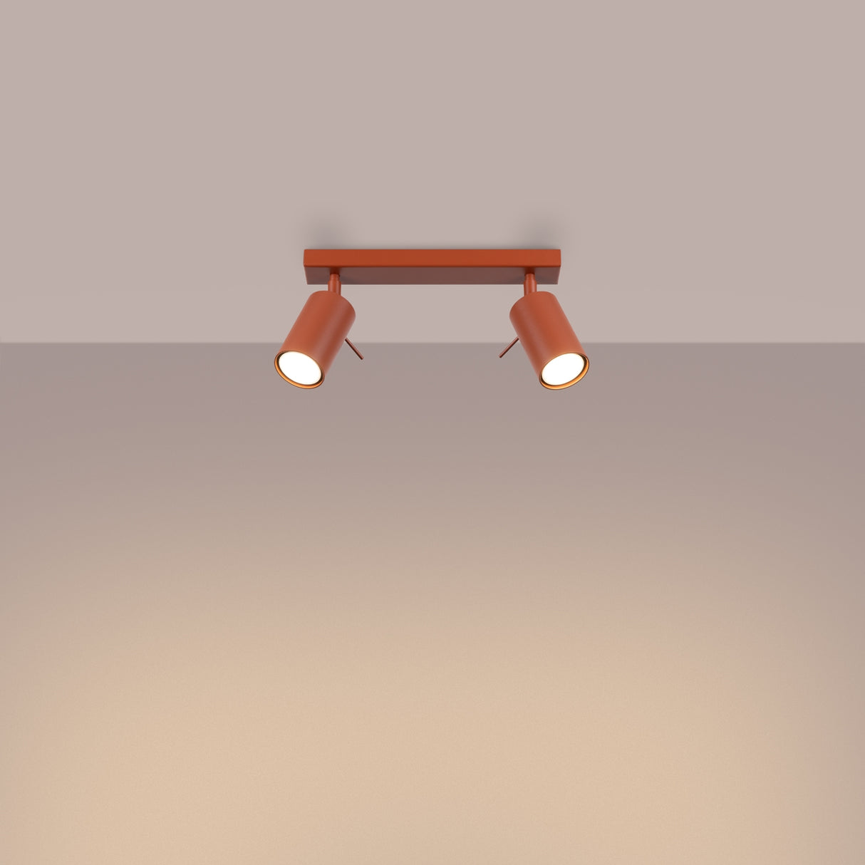 RING 2 Plafond