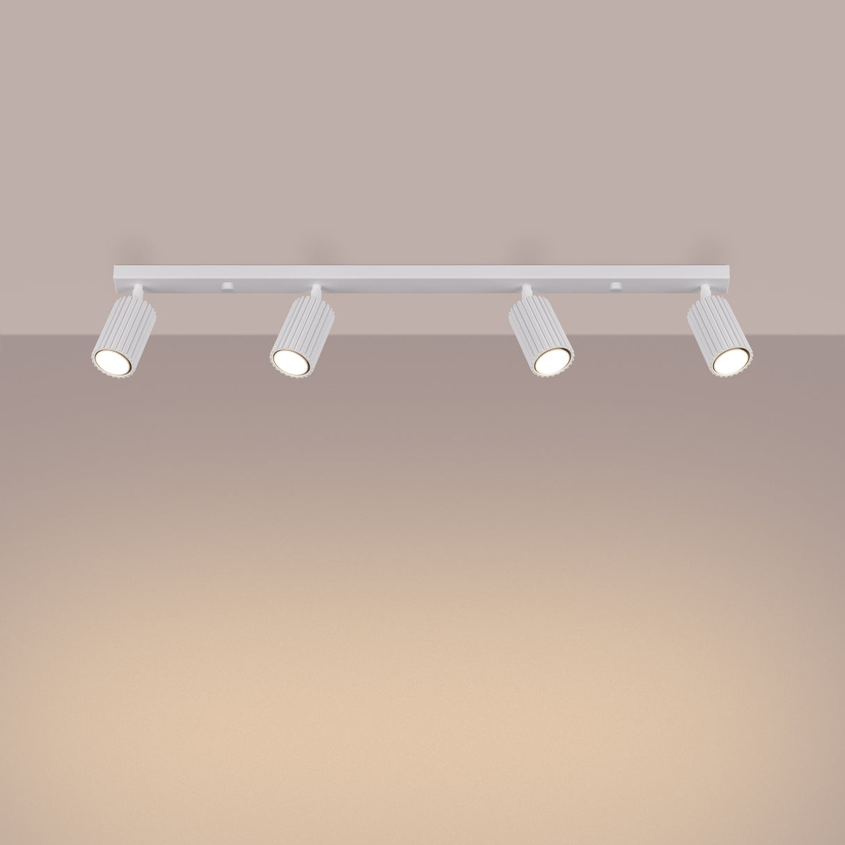KARBON 4L Plafond