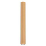 KARBON 60 Plafond
