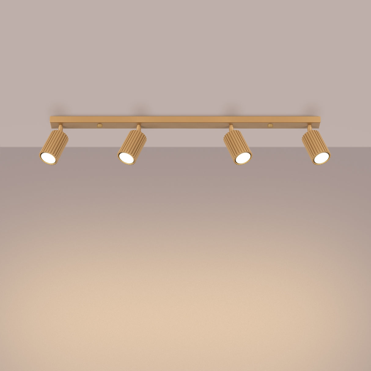KARBON 4L Plafond