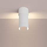 FLASH Plafond