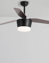 MONSOON Deckenventilator