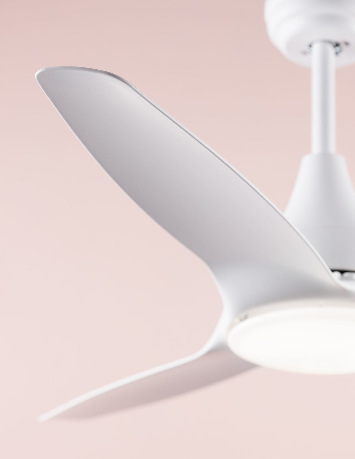 SAMOA Deckenventilator