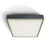 SILL L LED Wand-/Deckenleuchte