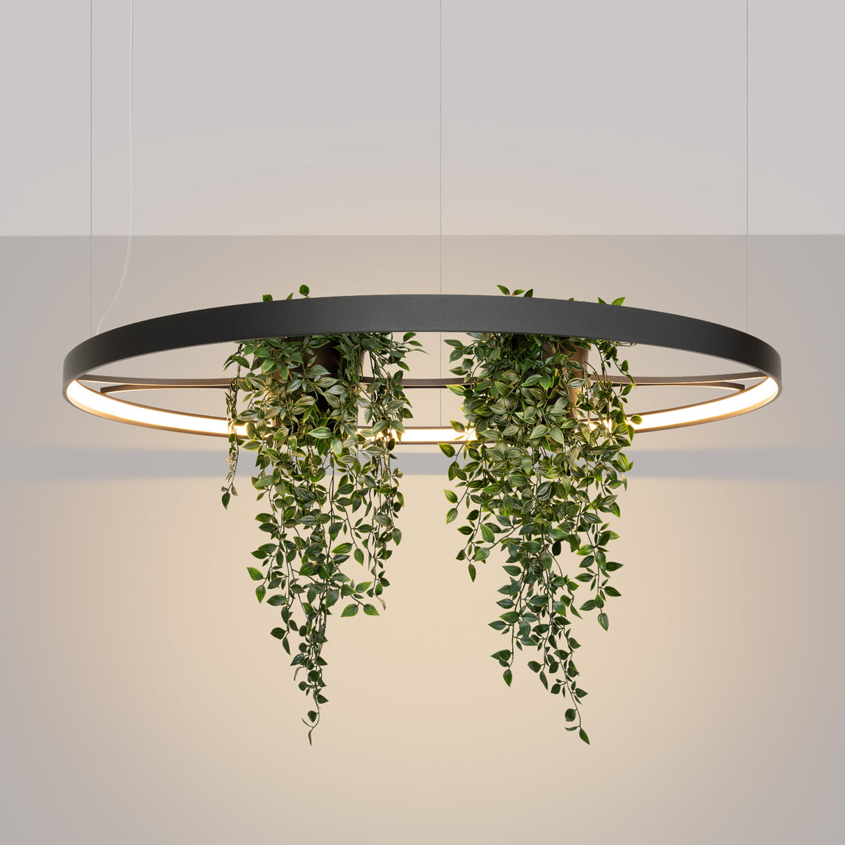LED-Ring-Kronleuchter RIO BIO – Schwebender Pflanz-Lichtring aus Aluminium