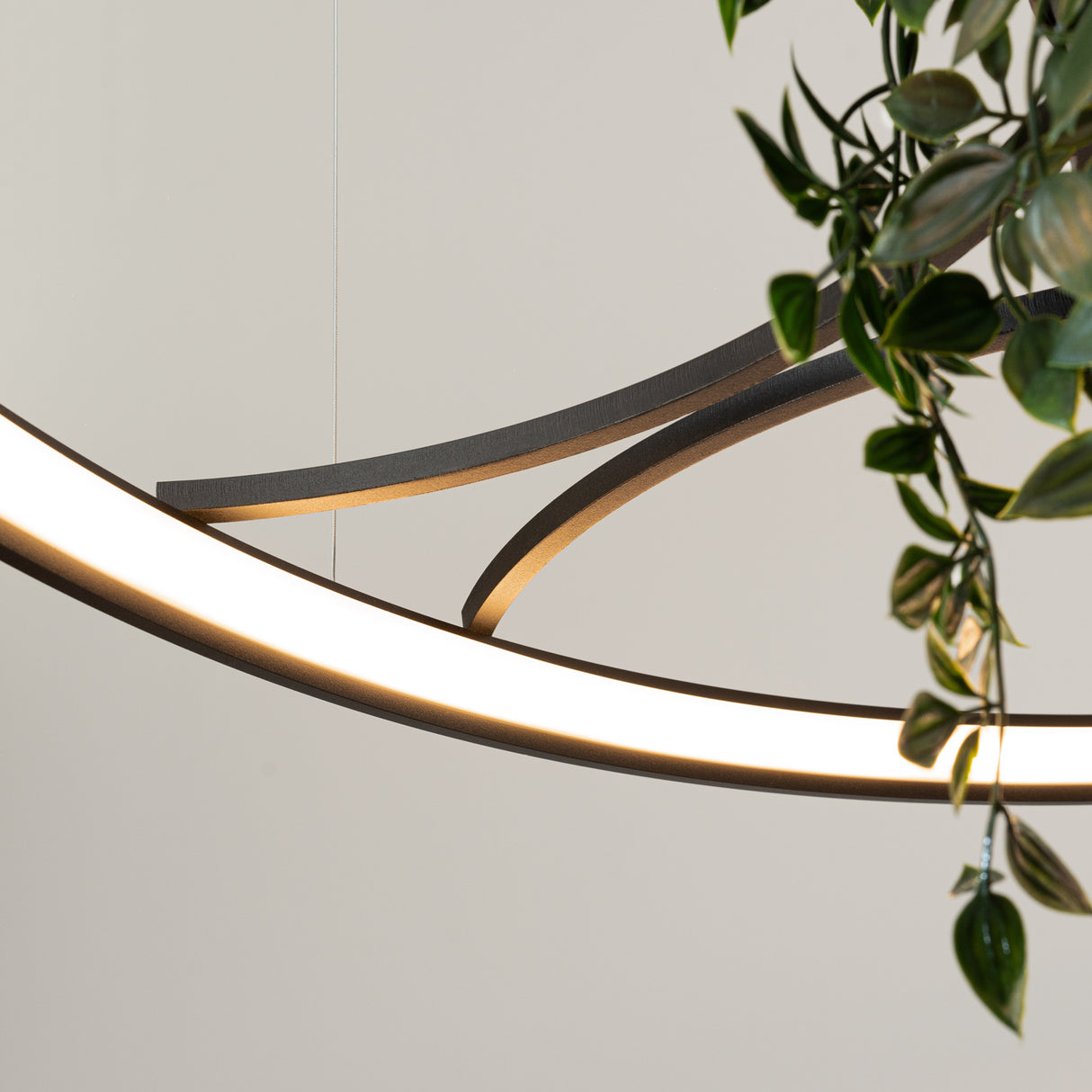 LED-Ring-Kronleuchter RIO BIO – Schwebender Pflanz-Lichtring aus Aluminium