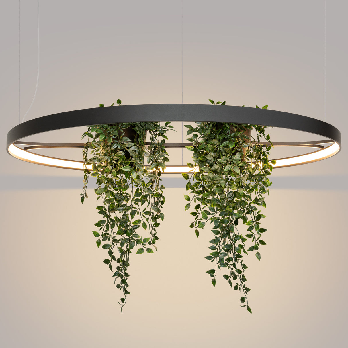 LED-Ring-Kronleuchter RIO BIO – Schwebender Pflanz-Lichtring aus Aluminium