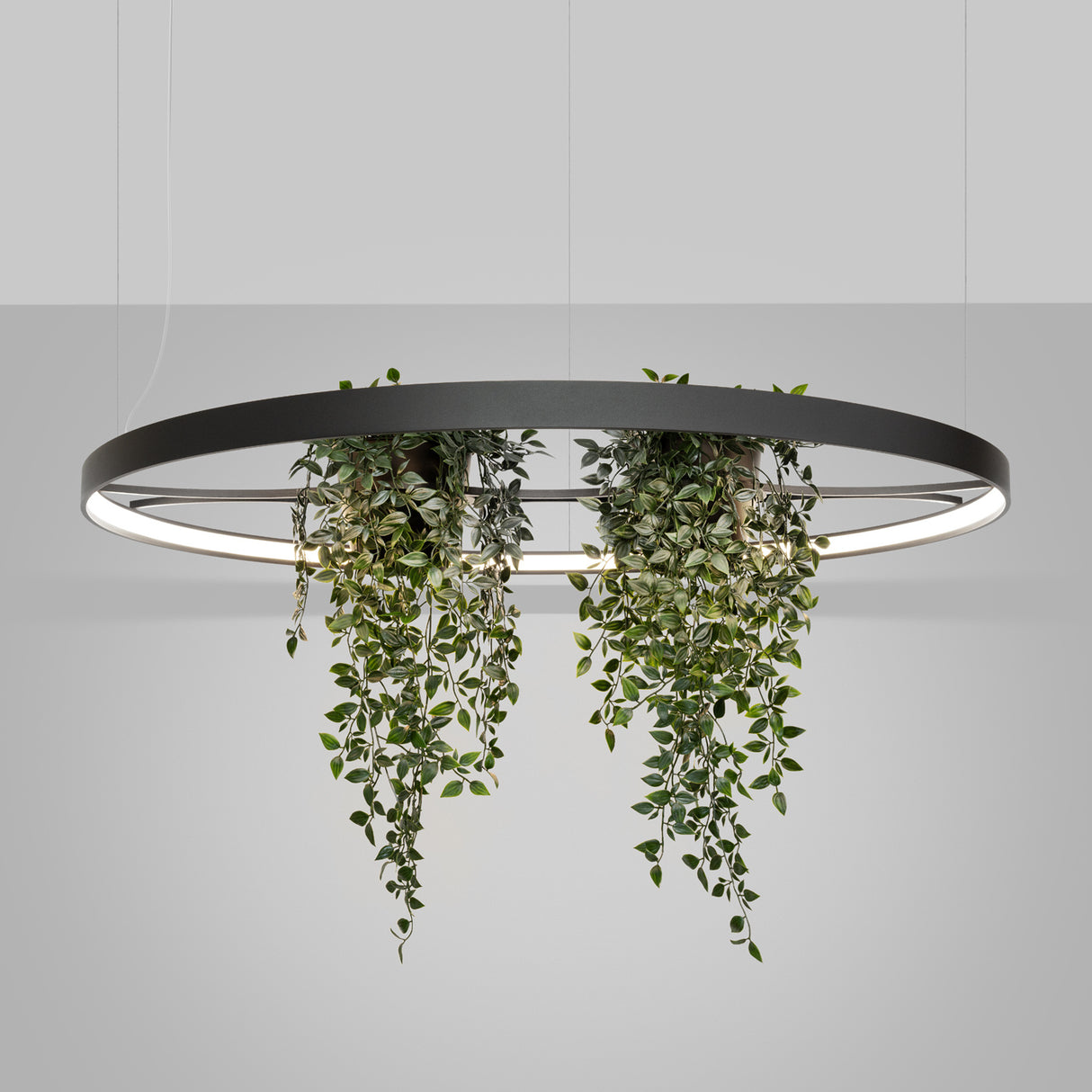 LED-Ring-Kronleuchter RIO BIO – Schwebender Pflanz-Lichtring aus Aluminium
