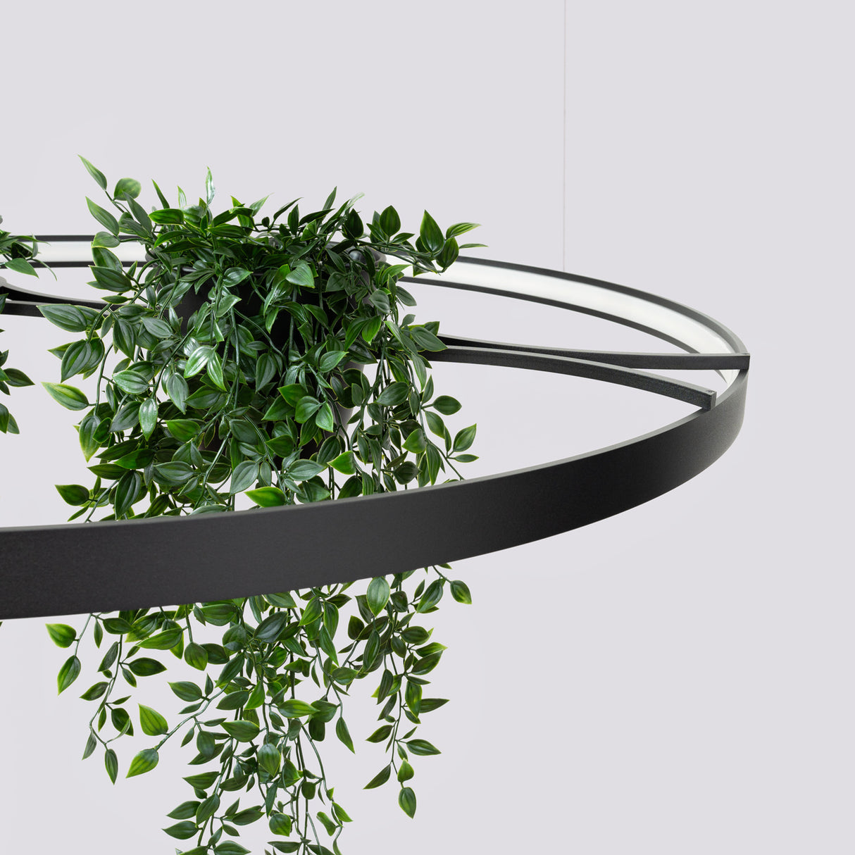 LED-Ring-Kronleuchter RIO BIO – Schwebender Pflanz-Lichtring aus Aluminium