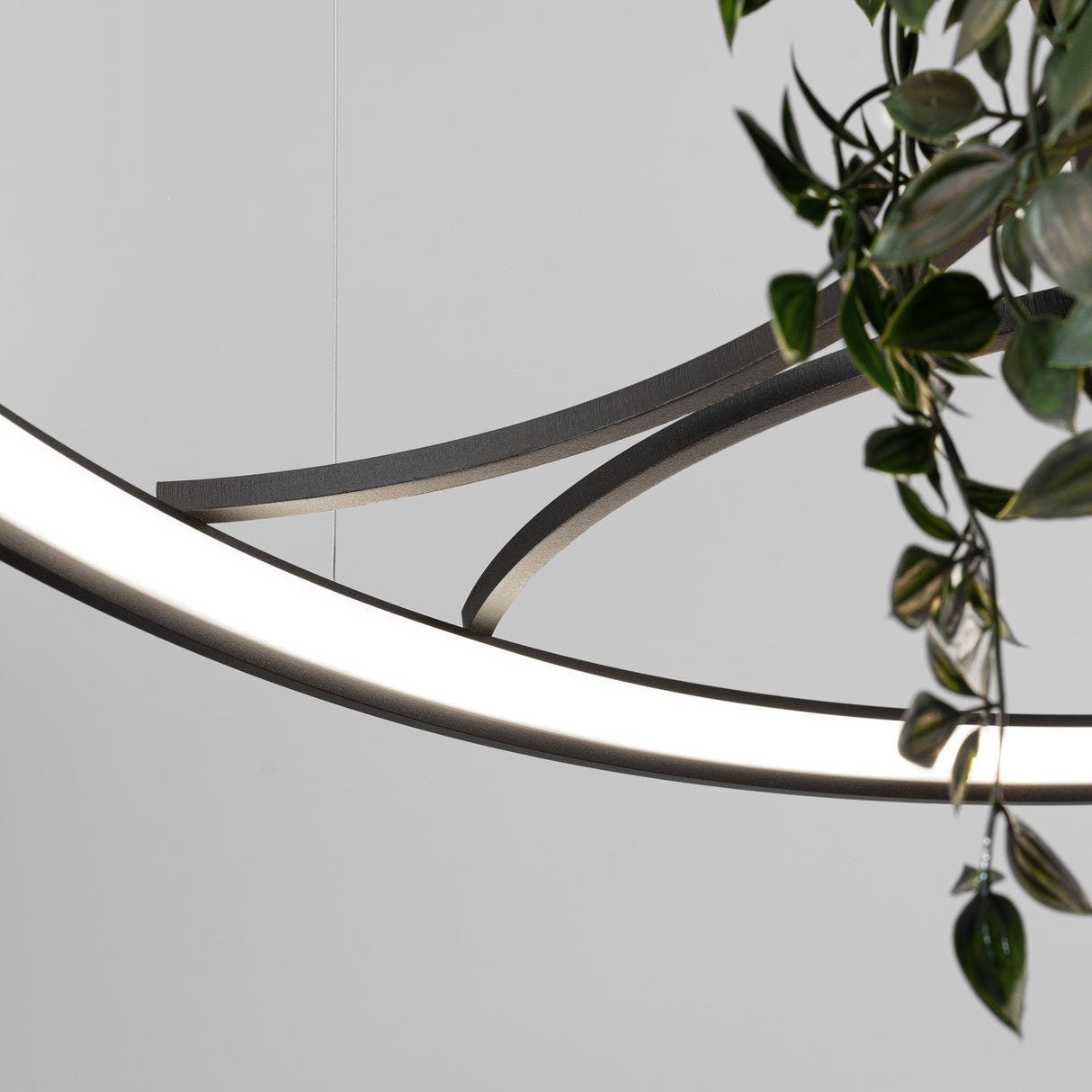 LED-Ring-Kronleuchter RIO BIO – Schwebender Pflanz-Lichtring aus Aluminium