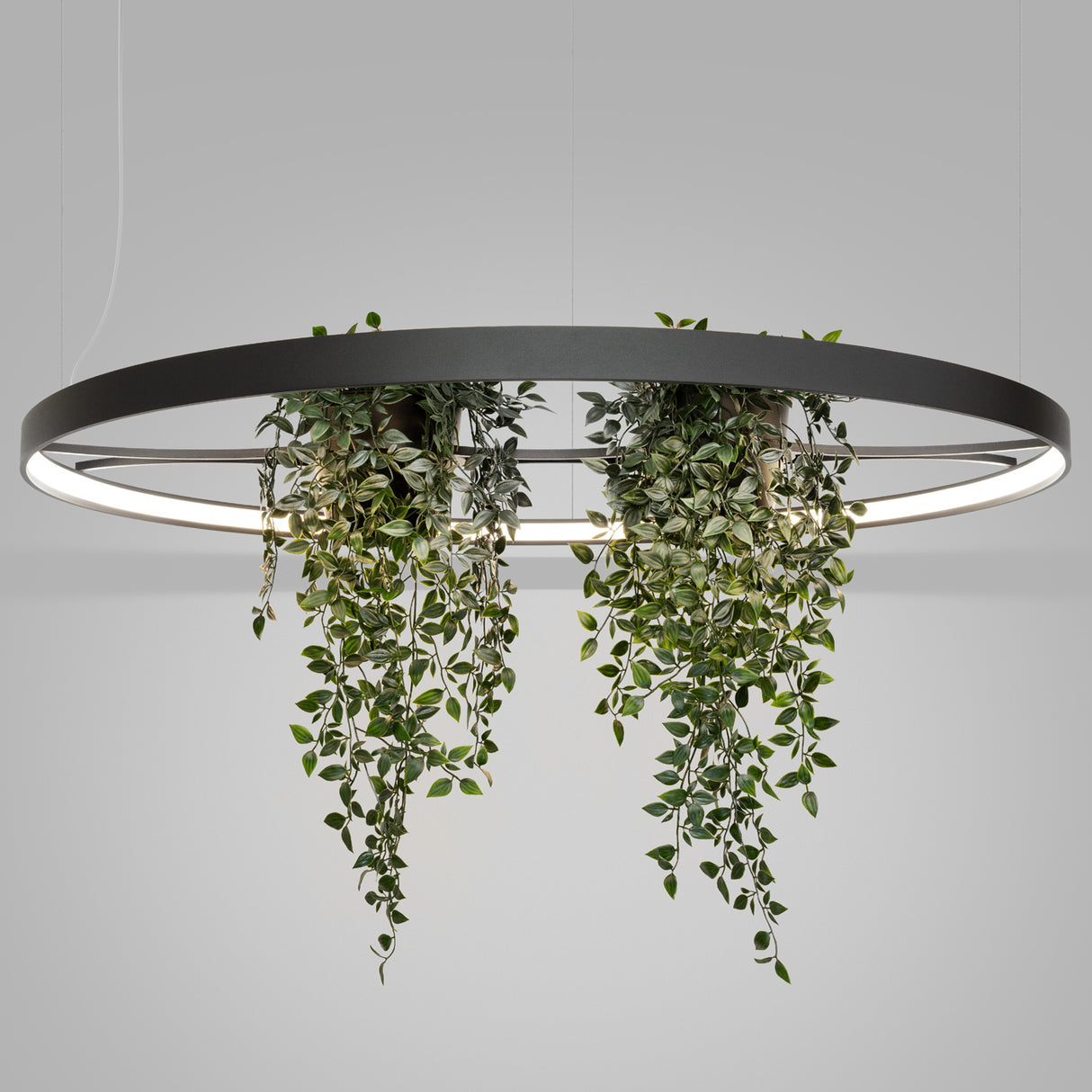 LED-Ring-Kronleuchter RIO BIO – Schwebender Pflanz-Lichtring aus Aluminium