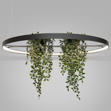 LED-Ring-Kronleuchter RIO BIO – Schwebender Pflanz-Lichtring aus Aluminium