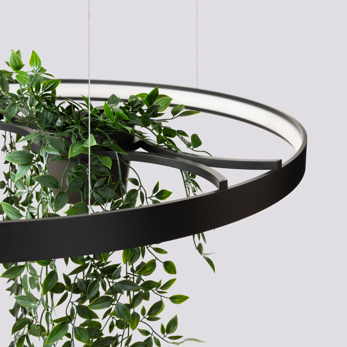 LED-Ring-Kronleuchter RIO BIO – Schwebender Pflanz-Lichtring aus Aluminium