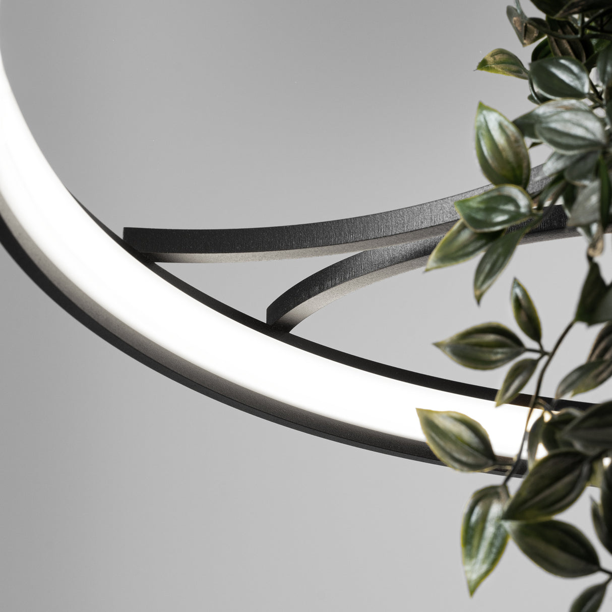 LED-Ring-Kronleuchter RIO BIO – Schwebender Pflanz-Lichtring aus Aluminium