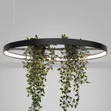 LED-Ring-Kronleuchter RIO BIO – Schwebender Pflanz-Lichtring aus Aluminium