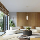 KARBON 3L Plafond